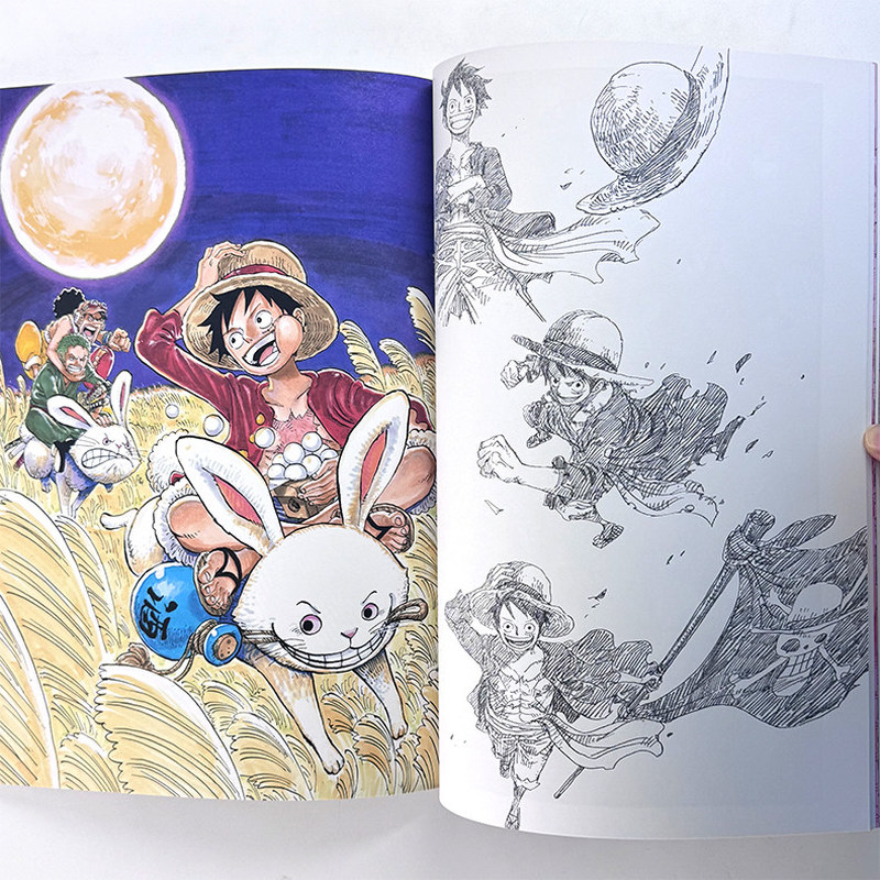 One Piece Illustration Book Co – Art Book Illustration Bewertung und Preis