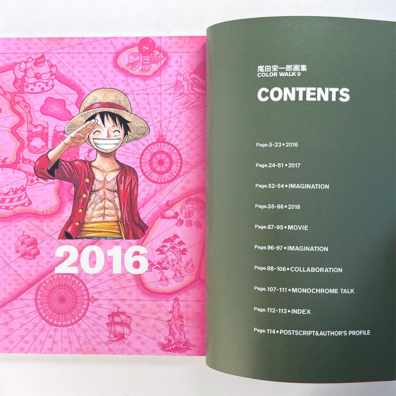 One Piece Illustration Book Co – Art Book Illustration Bewertung und Preis